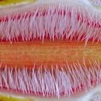 Decimocuarta posición.