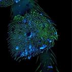 Decimoquinta posición.