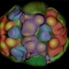 5c8b80d1360000a61b6d3fcb