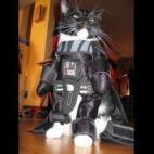 (vía costumecraze.com)