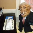 5c8aced52300007f0123bf46