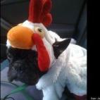 vía Jennifer Livesay: