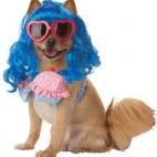 5c8aced624000093024c7e80