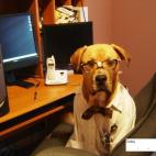 Halloween 2010 (vía Diana MDo)