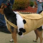 5c8aced82300005400e73623