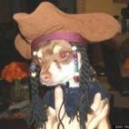 vía Hoda Bleik Bizri