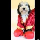 vía lauriyoungquist