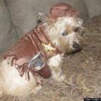 vía Leigh LopezCummins: