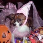 5c8acee22300005300e73641