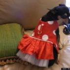 vía Hoda Bleik Bizri: