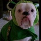 Noelle FredetteGrayson