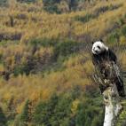 5c8b20562500001304ca1c33