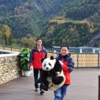 5c8b20572500001304ca1c35