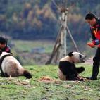 5c8b205820000045047035e1