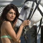 5c8ac49d230000d50423ab42