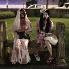 5c8a82412500001304c91f31