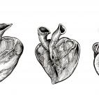 5c8b2410360000a61b6c92aa