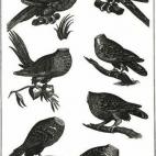 5c8b2410200000450470403e