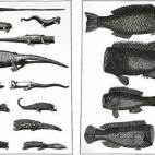 5c8b24112500000d04ca26c4