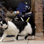 5c8b24203b000054066d13ee