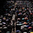 5d93222a2100004f00f8f13a