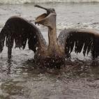 5c8b2fc022000051001a7f38