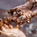 5c8b2fc1250000e203ca41e4