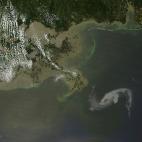 5c8b2fc2230000d5042452ab