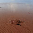 5c8b2fc2360000ba1a6cad29