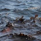 5c8b2fc32400000a05a44d68