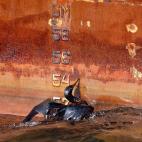 5c8b2fc422000033001a7f3e