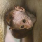 5c8ac7922500001304c9a1c0