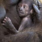 5c8ac7922000009e046fbb7d