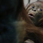 5c8ac7932400006b054c70a2