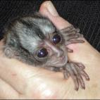 5c8ac7942400006b054c70a6