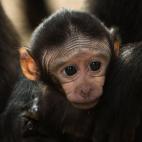 5c8ac7942400006c05a3ac35