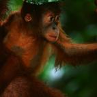 5c8ac795230000040123b0f2