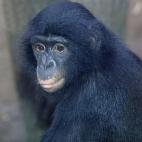 5c8ac795240000f404a3ac39