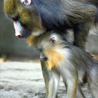 5c8ac7962500000a0681bb8a