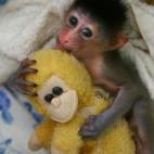 5c8ac7962300005300e72810