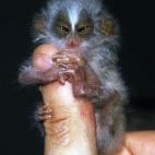 5c8ac796230000dd0423b0f6