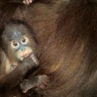 5c8ac7972300005400e72813