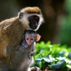 5c8ac7973b000054066c8edd