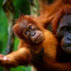 5c8ac797250000bd0581bb8c