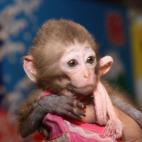 5c8ac7973b000070066c8edf