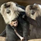 5c8ac7982500001304c9a1c6