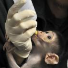 5c8ac7982400000a05a3ac41