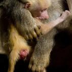 5c8ac7992400006b054c70b2