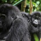 5c8ac7992300003000e72823