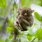 5c8ac799250000520681bb92